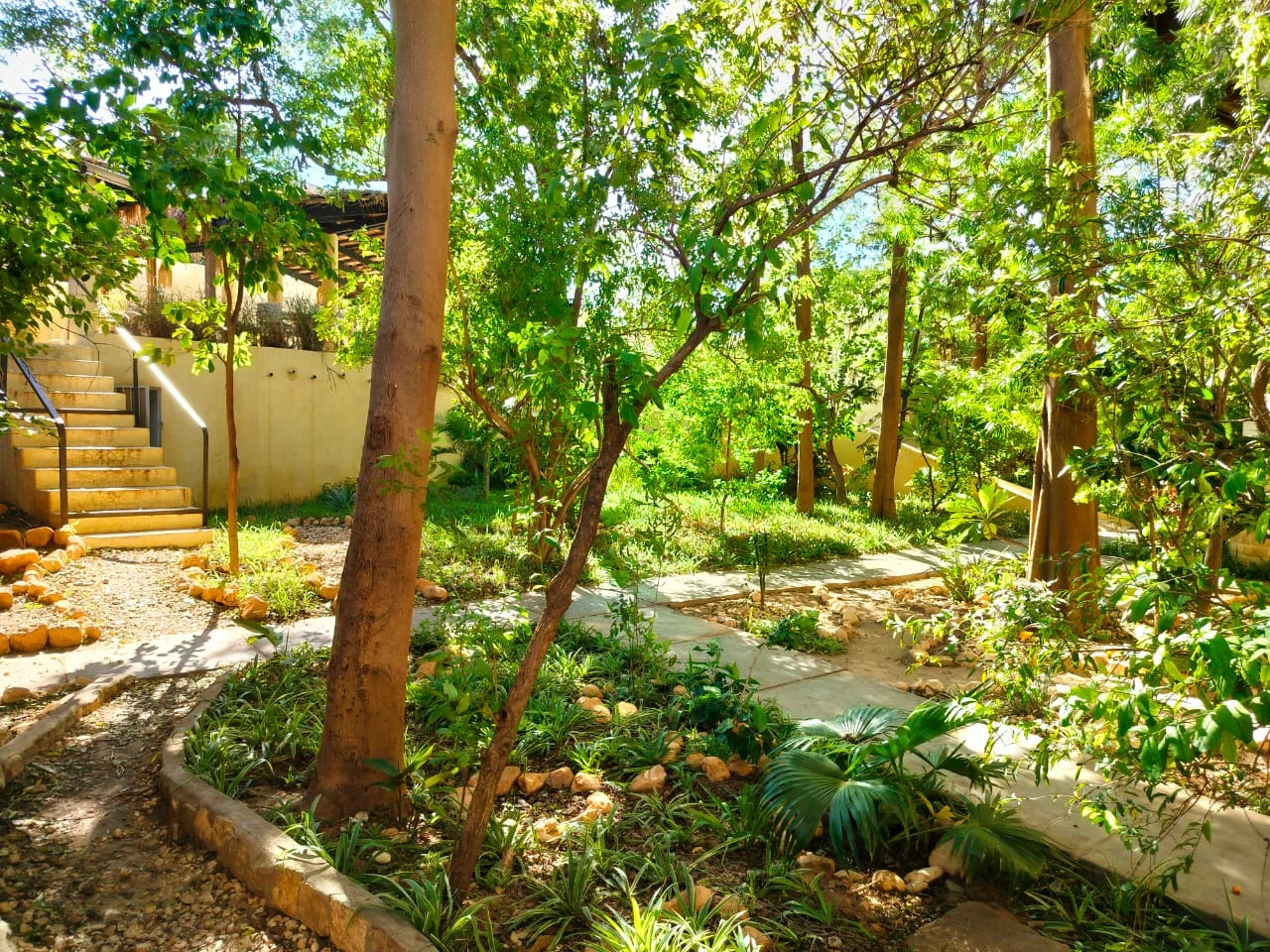 Jardin-2