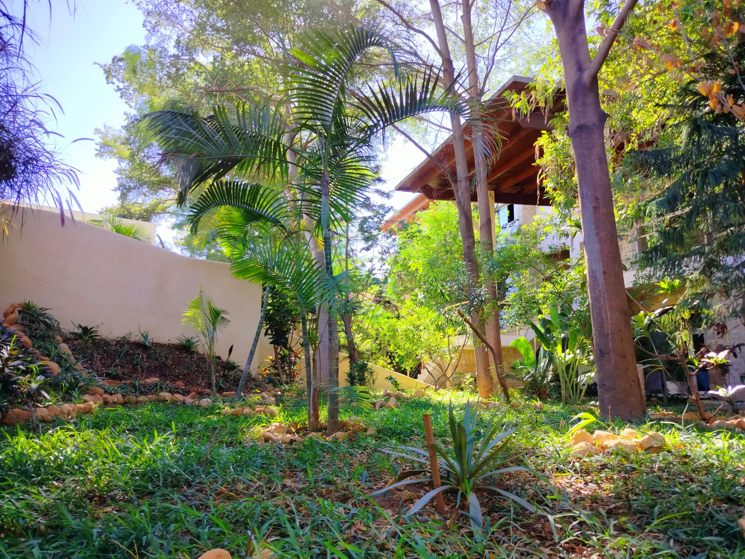 Jardin